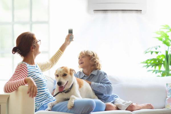 residential ventilation mum dog and child on sofa